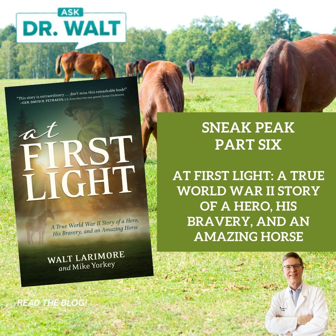 SNEAK PEAK – Part Six – At First Light: A True World War II Story of a